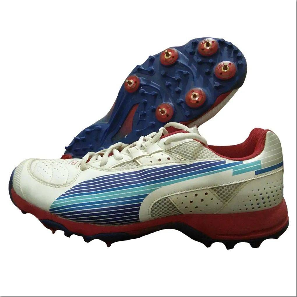 Puma Evo Speed Full Spike Cricket Shoes White Blue and Red,- Buy