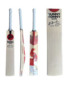 DSC Intense Force Cricket Bat For Mens and Boys (Beige, Size-Harrow) | Material: Kashmir Willow | Lightweight | Free Cover | Ready to play | For Intermediate Player | Ideal For Leather