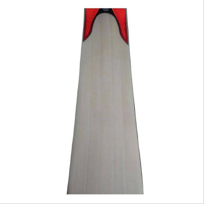 Puma evospeed 2.17 cricket bat store