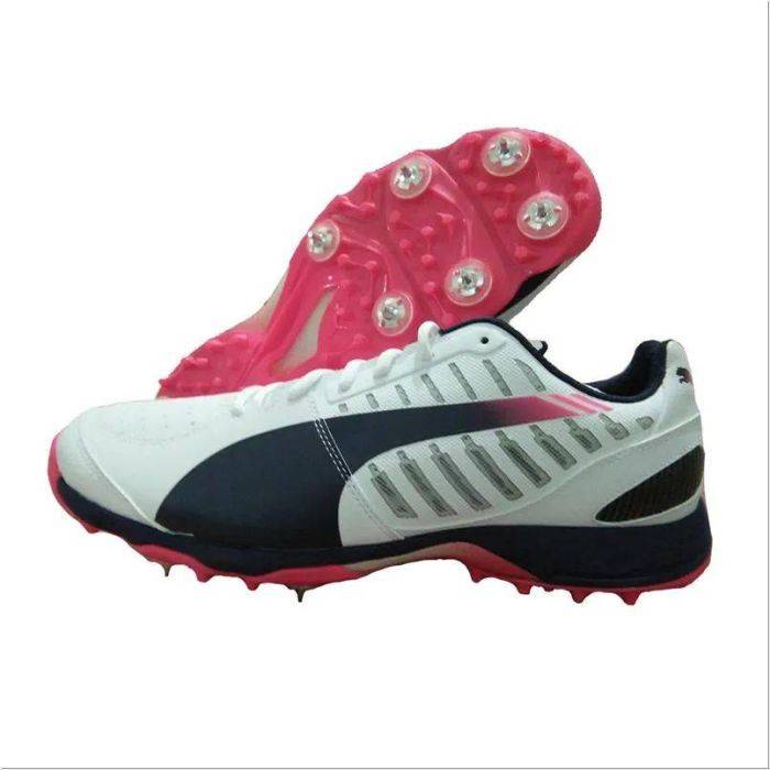 Puma 2025 evospeed cricket