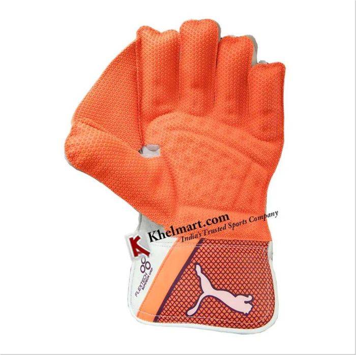 Puma evo 2 wicket keeping gloves discount