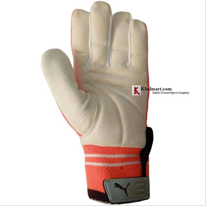 Puma Evo Half Padded Leather Wicket Keeping Inner Gloves,- Buy