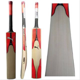 Puma evospeed 2.17 cricket bat outlet