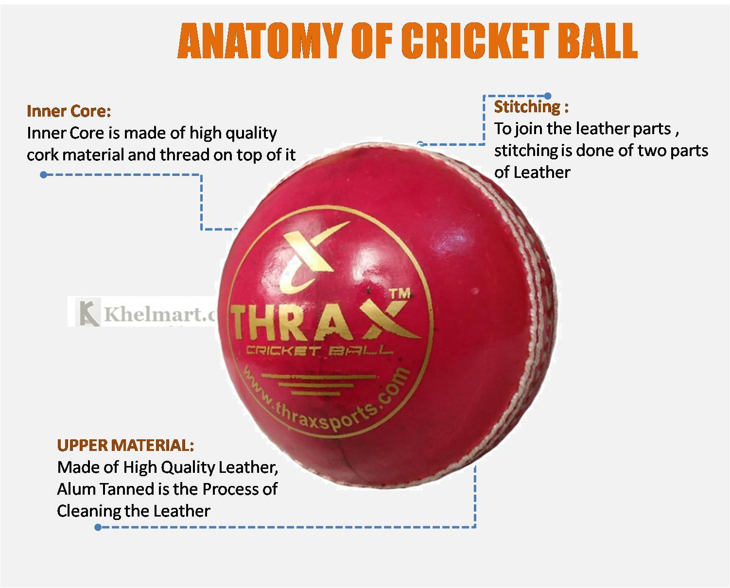 ANATOMY_OF_CRICKET_BALL_khelmart.jpg