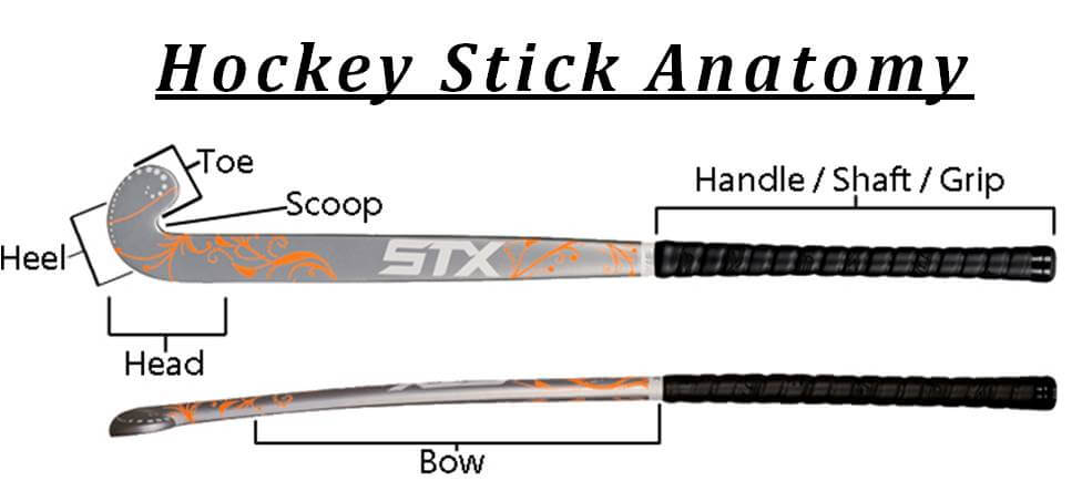 Hockey_Stick_Anatomy_Khemart