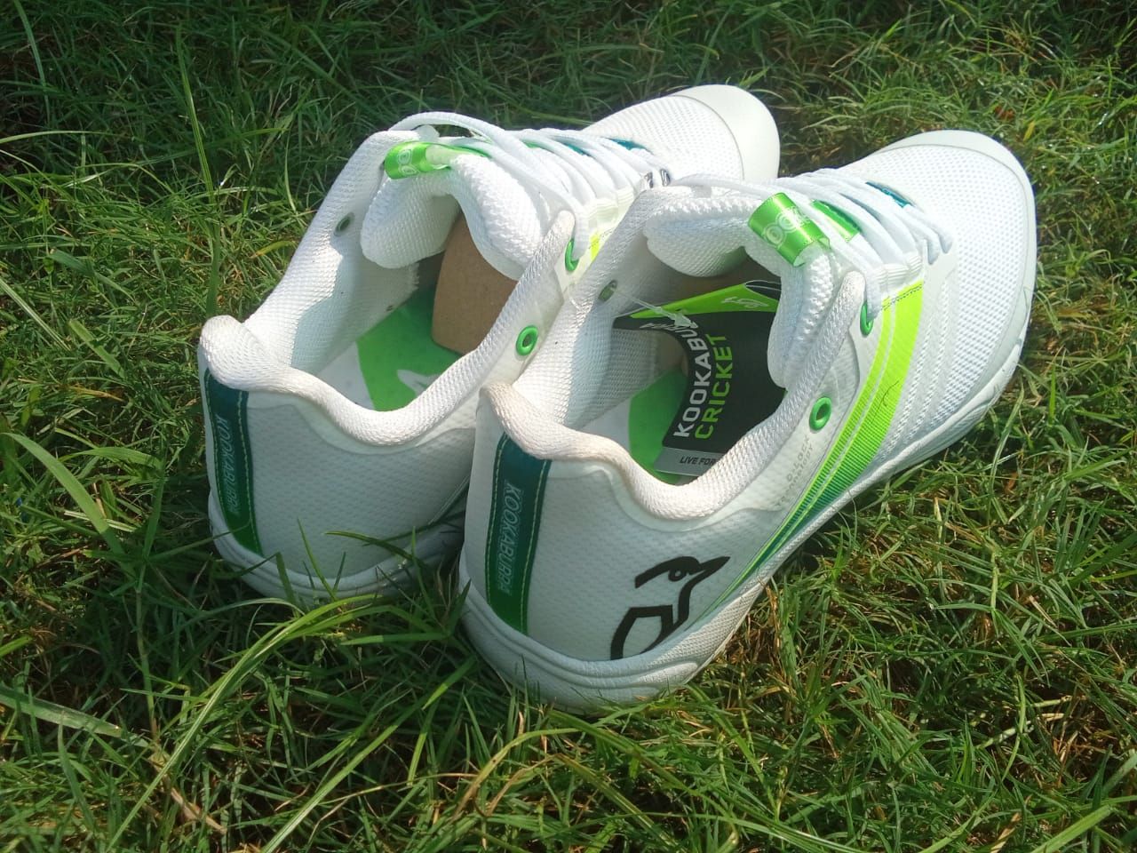 Kookaburra_pro_2.0_Stud_shoes