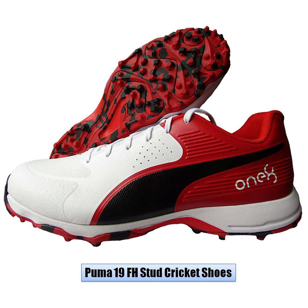 Puma_Spike_19.1_Cricket_Shoes_Image