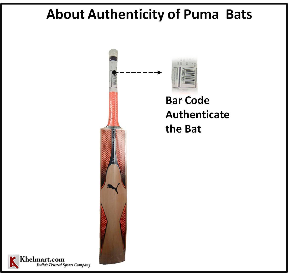 Puma_EVO_SPEED_2_English_Willow_Cricket_Bat_1.jpg