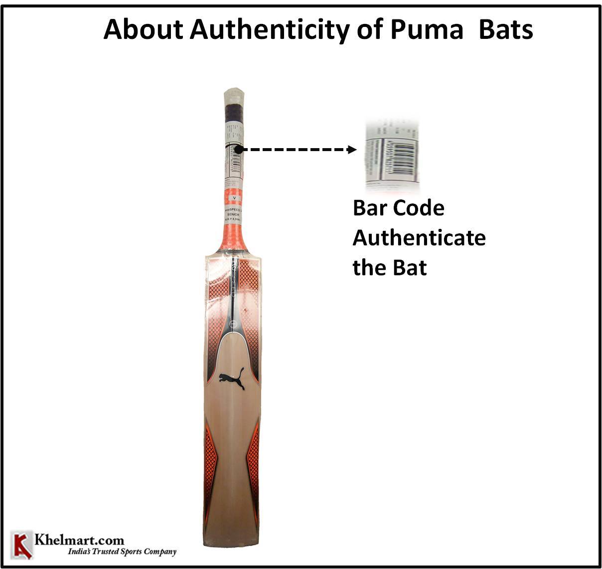 Puma_EVO_SPEED_3_English_Willow_Cricket_Bat_1.jpg