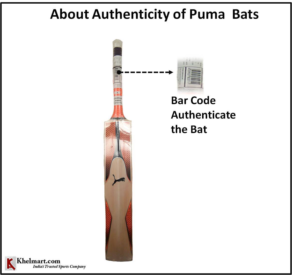 Puma_EVO_SPEED_4_English_Willow_Cricket_Bat_1.jpg