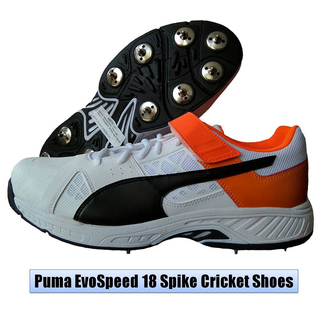 Puma_EvoSpeed_18_Spike_Cricket_Shoes_Image