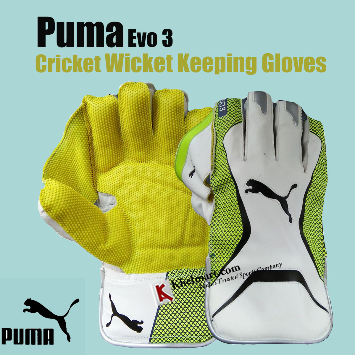 Puma_Evo_3_Wicket_Keeping_Gloves.jpg