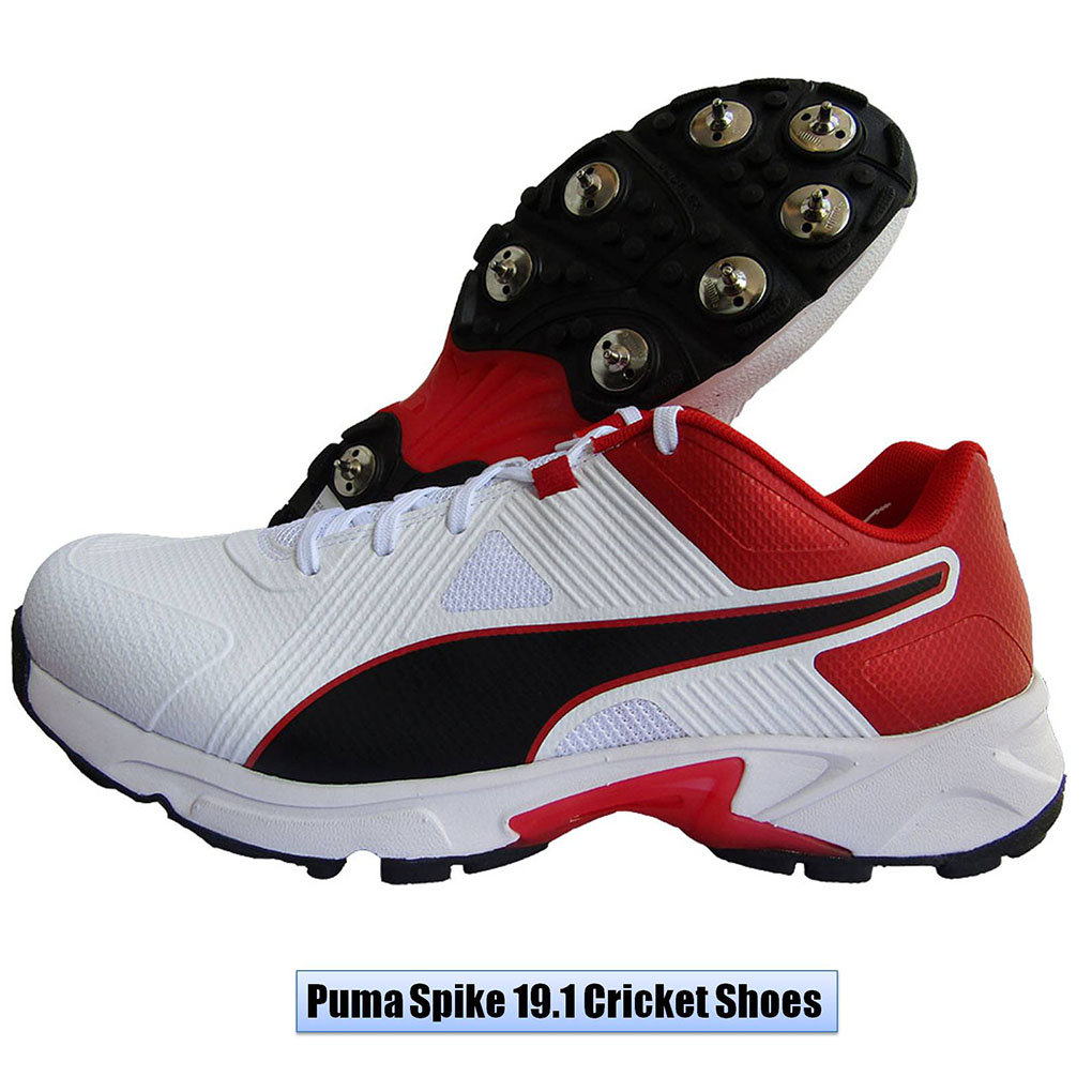 Puma_Spike_19.1_Cricket_Shoes_Image
