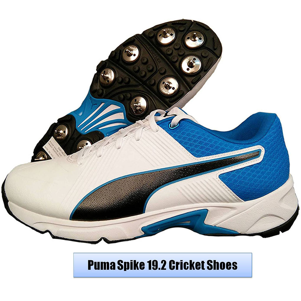 Puma_Spike_19.2_Cricket_Shoes_Image