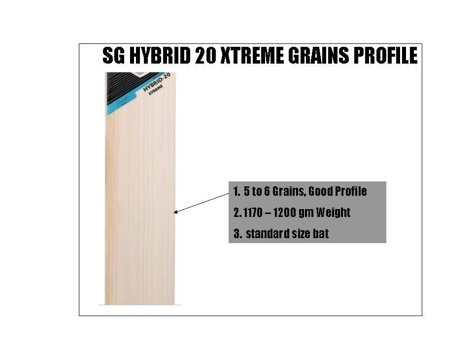 SG_Hybrid_20_Xtreme_English_Willow_Cricket_Bat