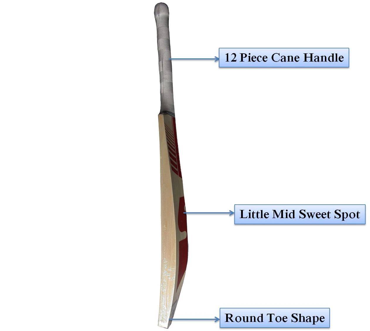 Sunny_Tonny_Classic_Bat_Profile