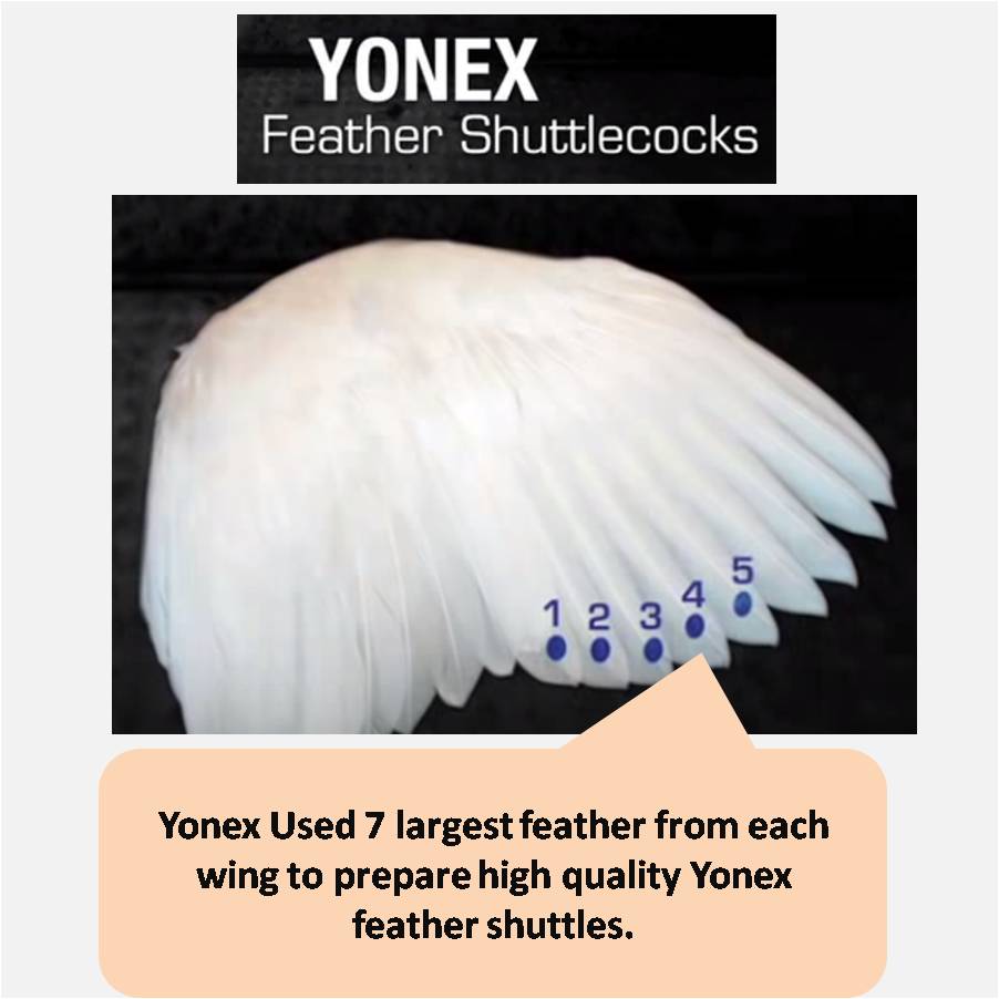 Yonex_Aerosensa_Feather_Shuttlecock_Feather_material