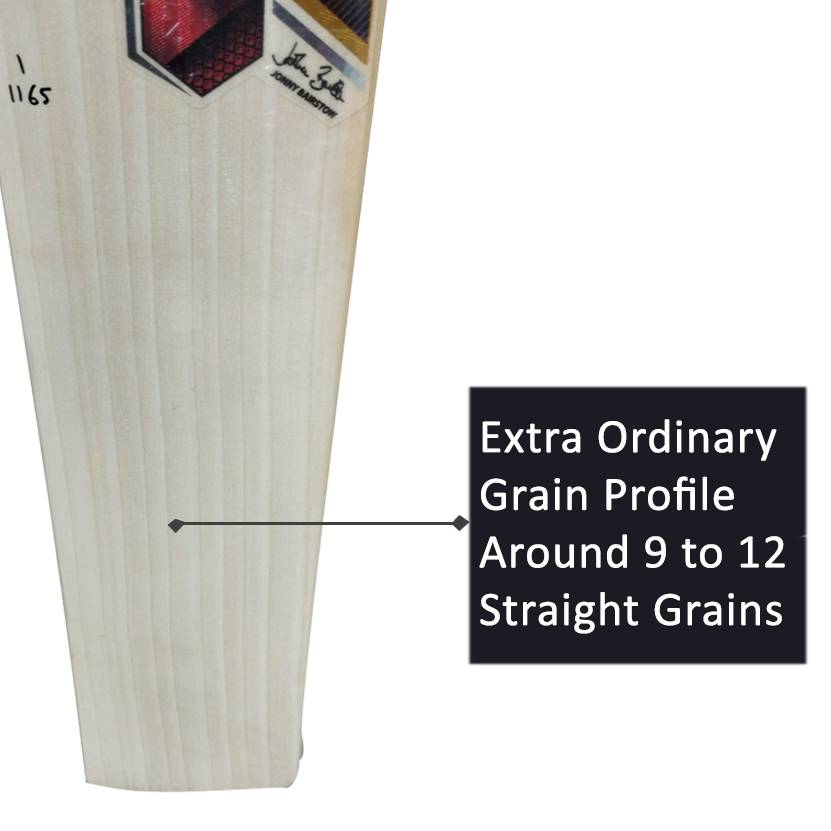 SS Ton Reserve Edition English Willow Cricket Bat