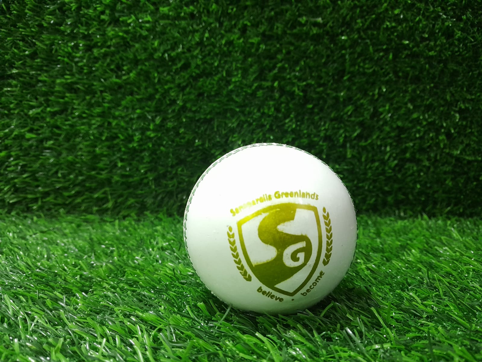 SG Club White Cricket Ball 12 Ball set
