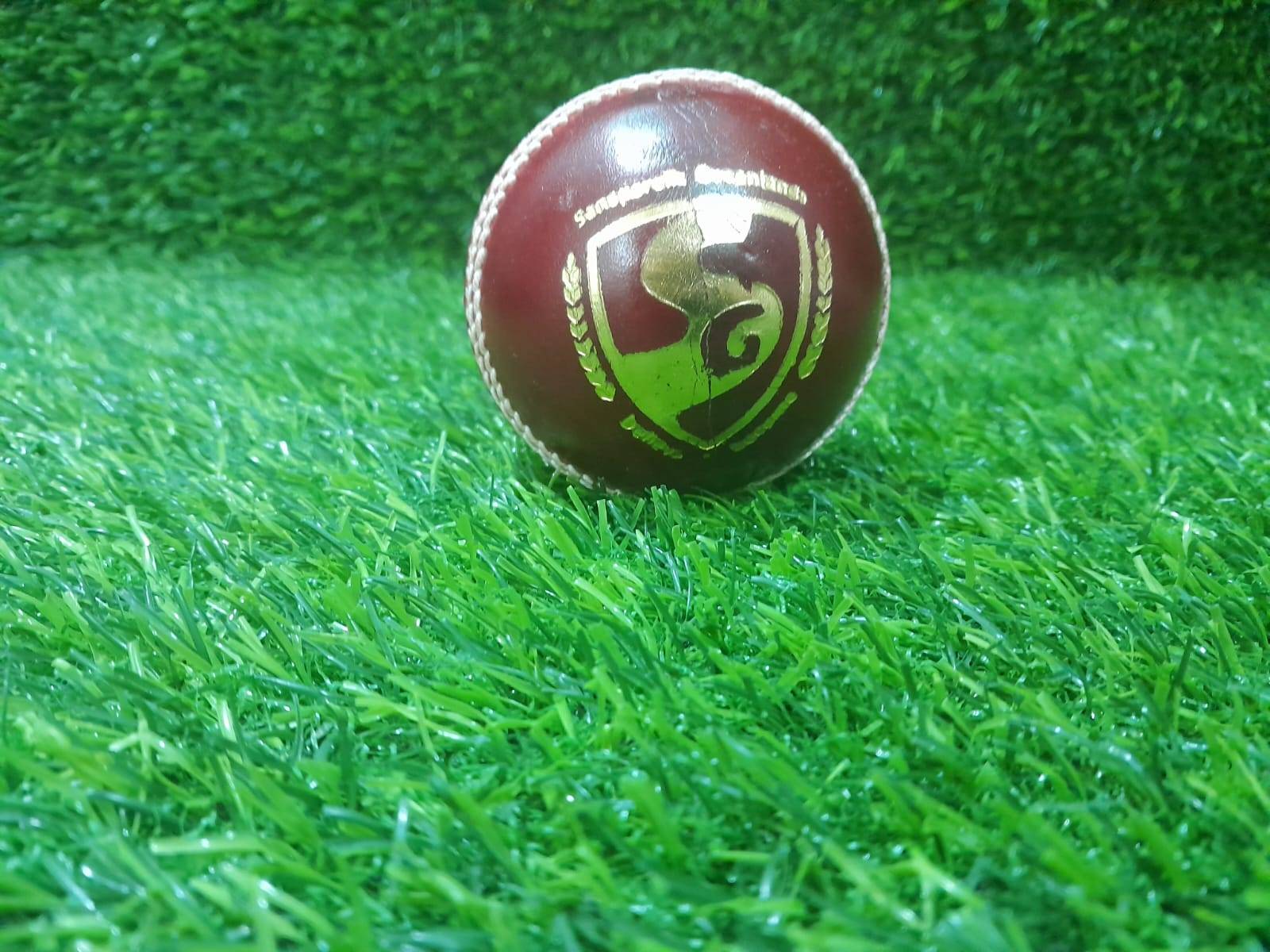 SG Club Red Cricket Ball 12 Ball set