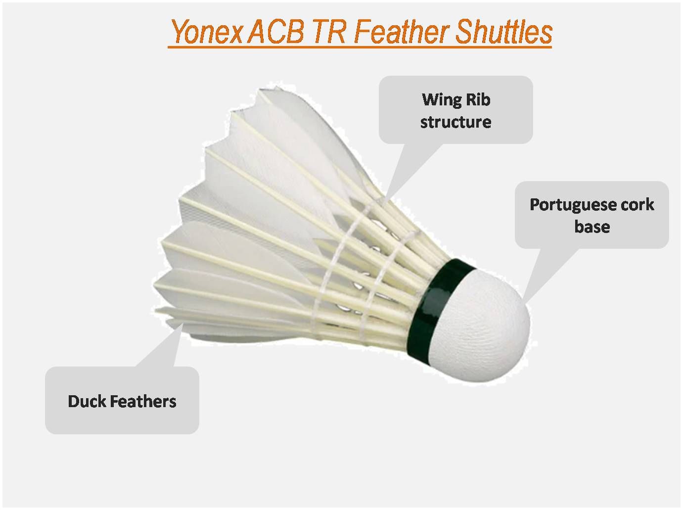 Yonex Aeroclub TR Badminton feather Shuttlecocks 2 boxes,- Buy Yonex Aeroclub TR Badminton feather Shuttlecocks 2 boxes Online at Lowest Prices in India